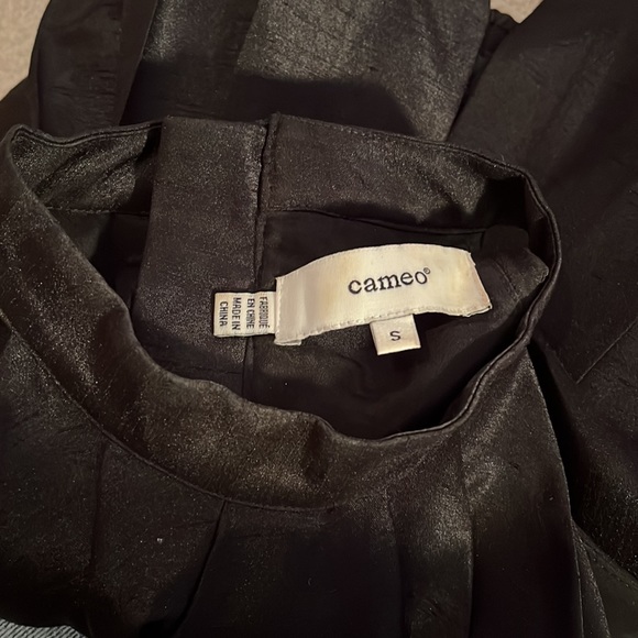 Cameo Pleated Crop Top - Picture 4 of 4